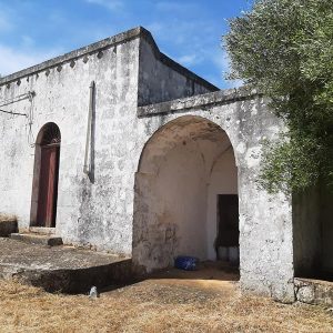 Lamia for sale Ostuni Puglia